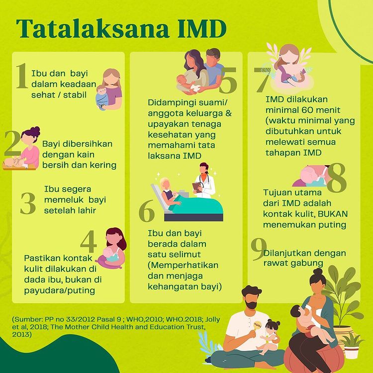 Manfaat Inisiasi Menyusu Dini Imd Bagi Bayi Fondasi Kesehatan Optimal Sejak Awal Kehidupan